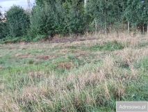 Działka rolna Opole Chmielowice. Zdjęcie 1