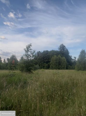 Działka rolno-budowlana Łosino, ul. Długa. Zdjęcie 1