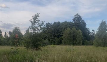 Działka rolno-budowlana Łosino, ul. Długa