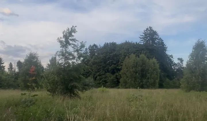 Działka rolno-budowlana Łosino, ul. Długa