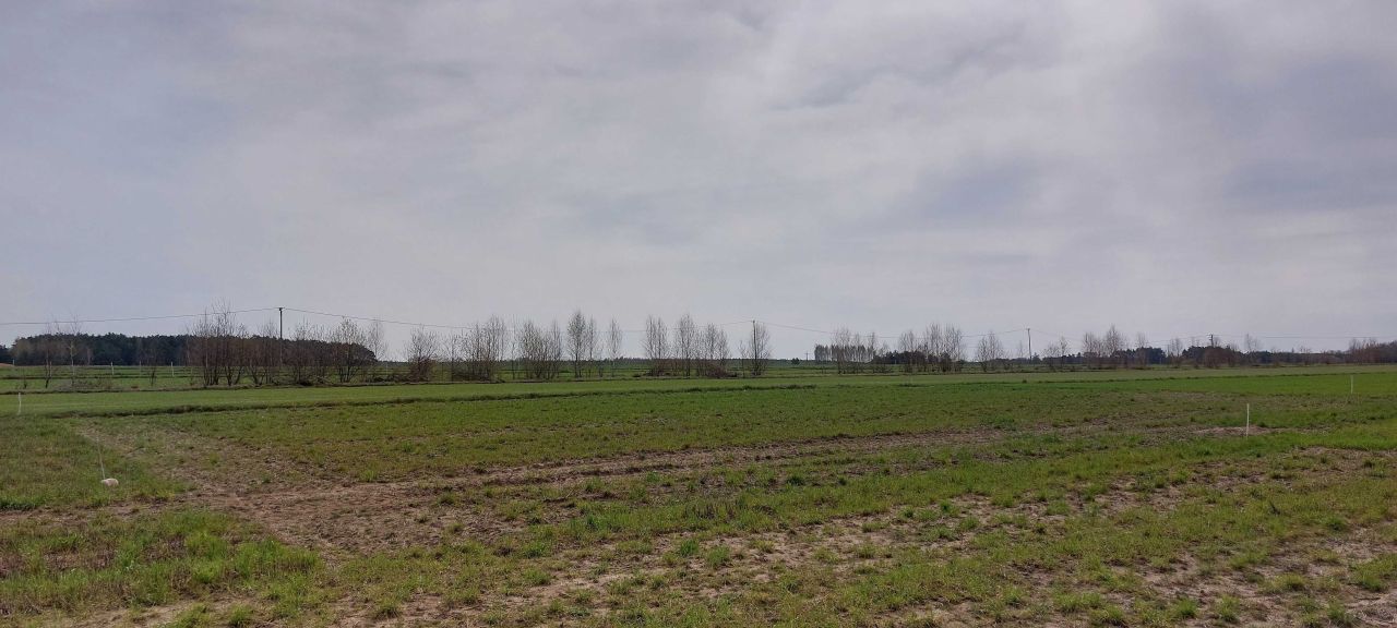 Działka budowlana Mierzączka Duża. Zdjęcie 4