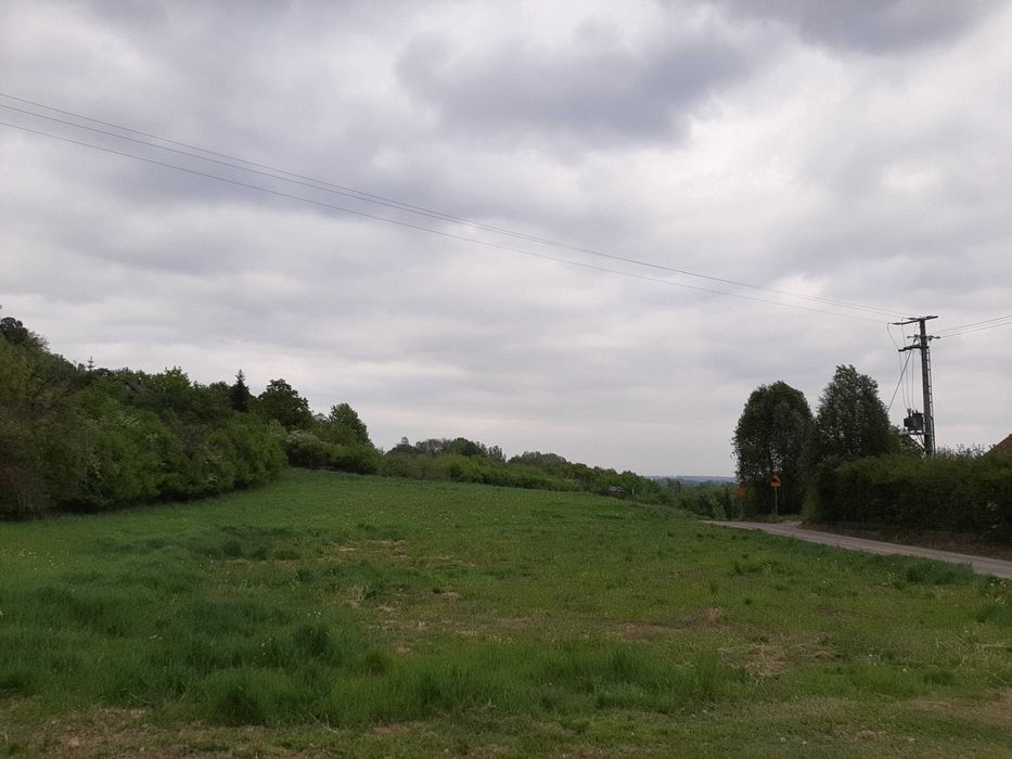 Działka rolno-budowlana Kozielec. Zdjęcie 1