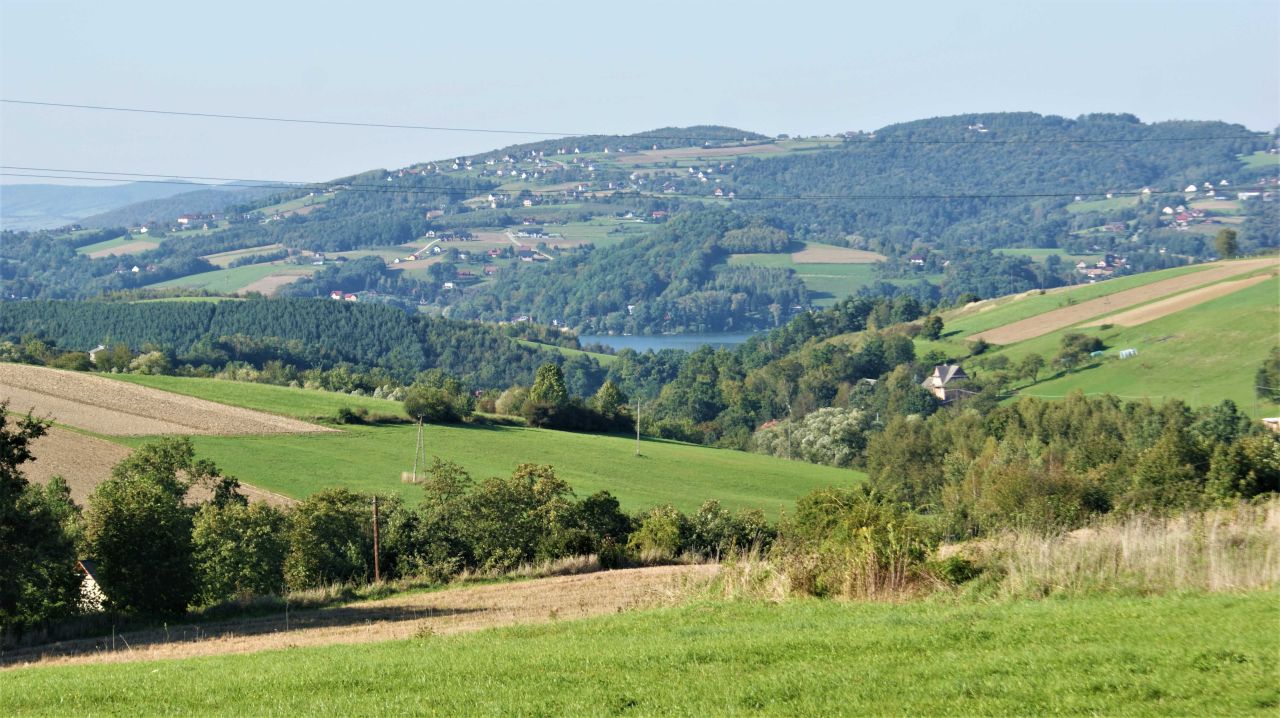 Działka budowlana Wola Kurowska. Zdjęcie 2