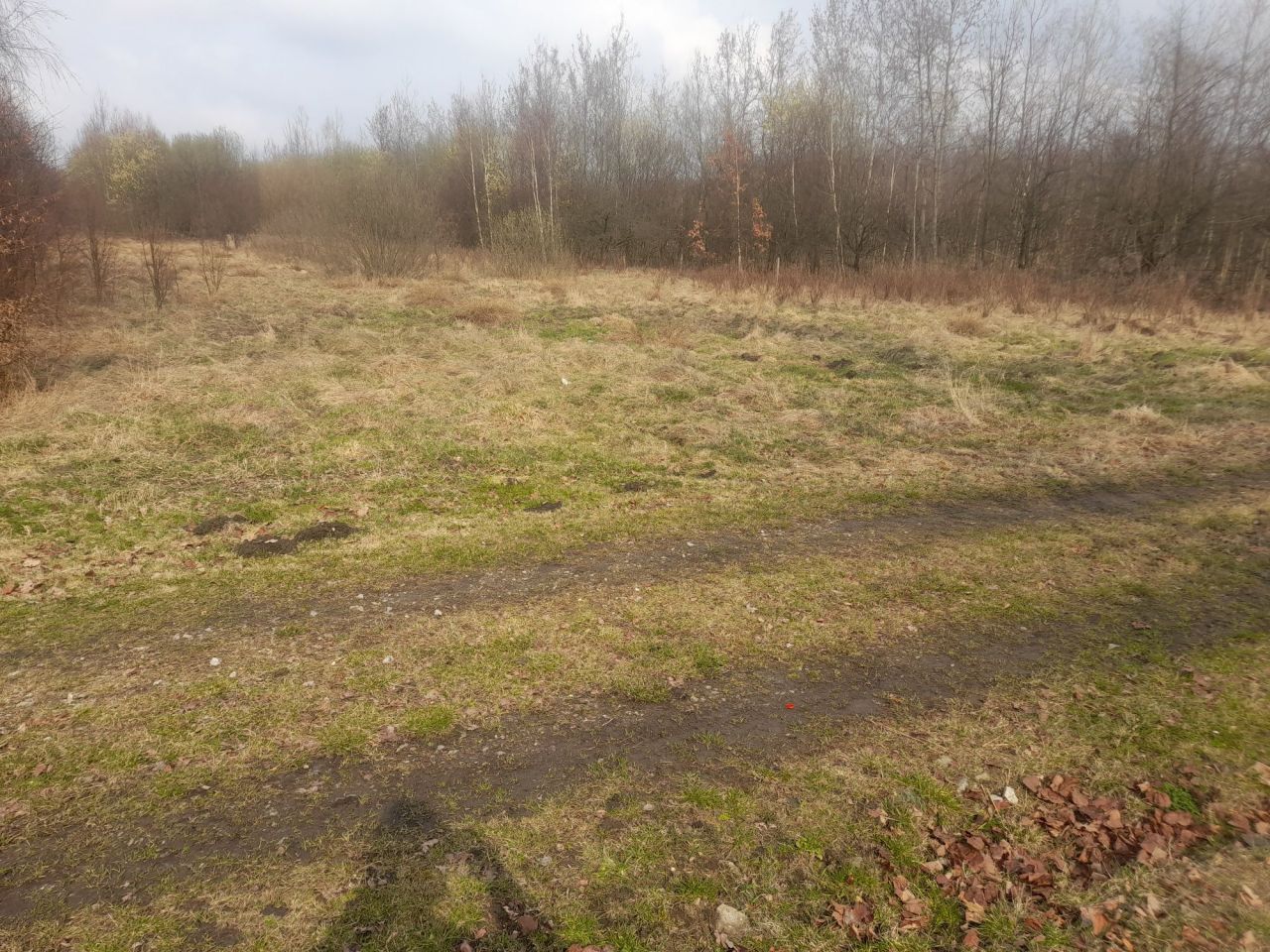 Działka Kozłowiec. Zdjęcie 3