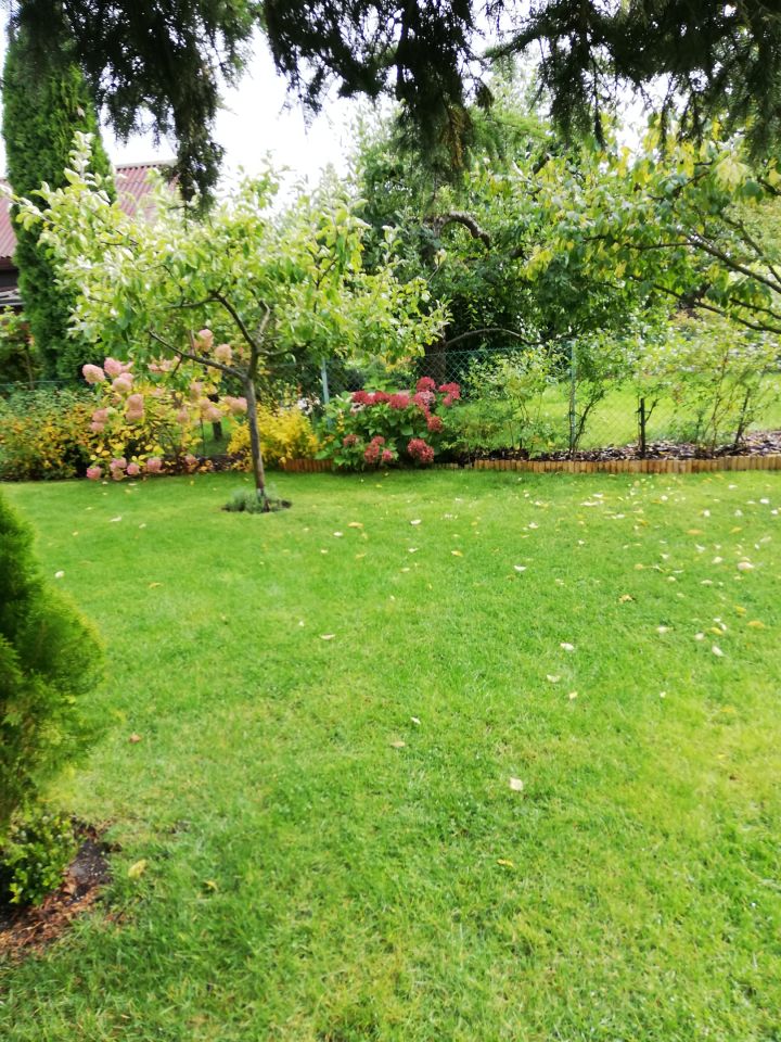 Działka rod Warszawa Bemowo, Dzialka ROD Bemowo II. Zdjęcie 3