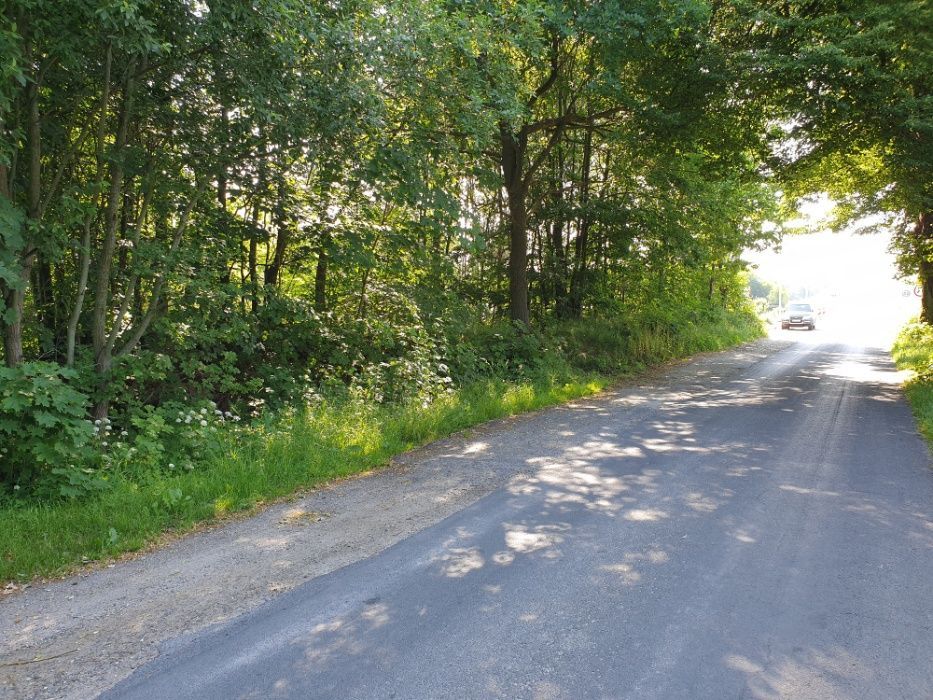 Działka rolno-budowlana Karnieszewice. Zdjęcie 6