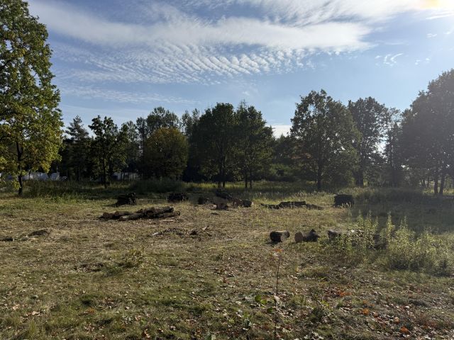 Działka budowlana Wiktorów, ul. Rybno. Zdjęcie 1