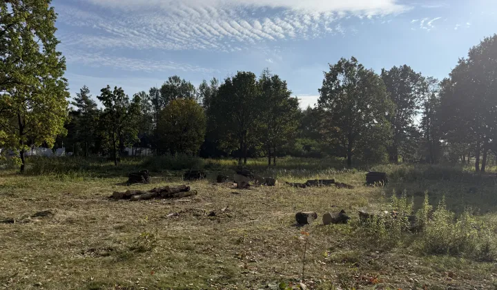 Działka budowlana Wiktorów, ul. Rybno
