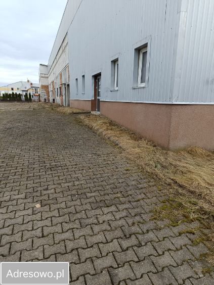 Lokal Wyszków, ul. Pułtuska. Zdjęcie 3