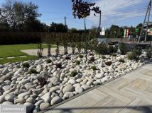 budynek wielorodzinny, 6 pokoi Chełm Śląski, ul. Skalna. Zdjęcie 4