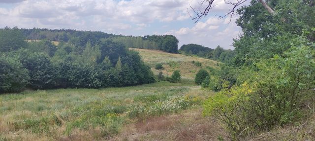 Działka rolno-budowlana Dunino. Zdjęcie 3