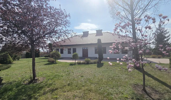 dom wolnostojący, 4 pokoje Krzywołęcz