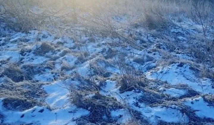 Działka budowlana Pawłówek