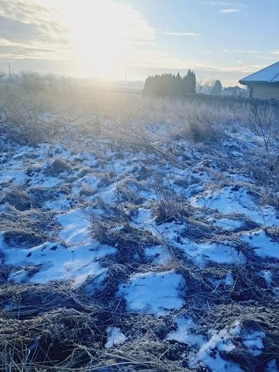 Działka budowlana Pawłówek. Zdjęcie 2