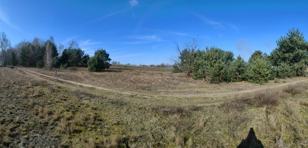 Działka siedliskowa Grabie Polskie