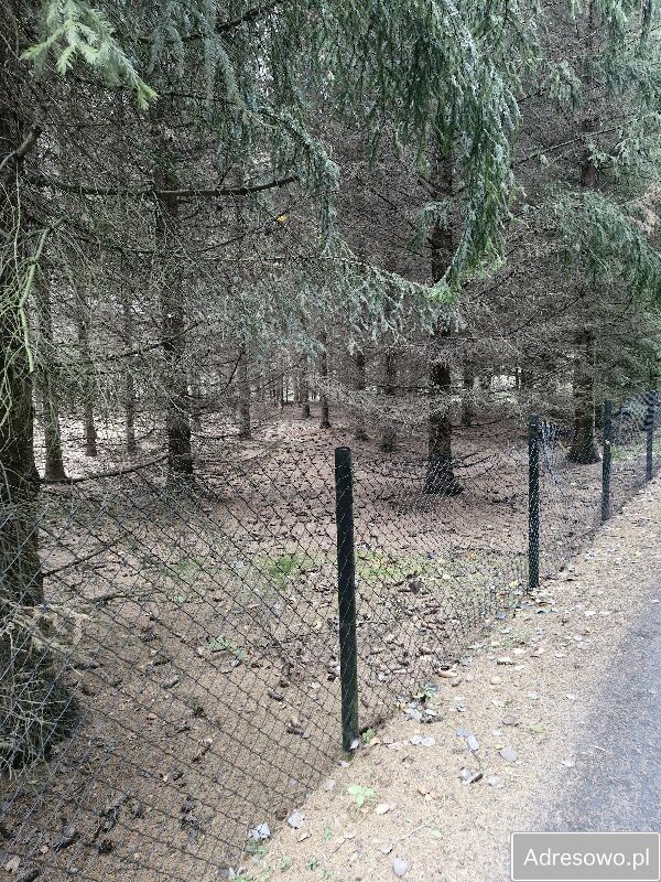 Działka budowlana Pasikonie, ul. Powozowa. Zdjęcie 2