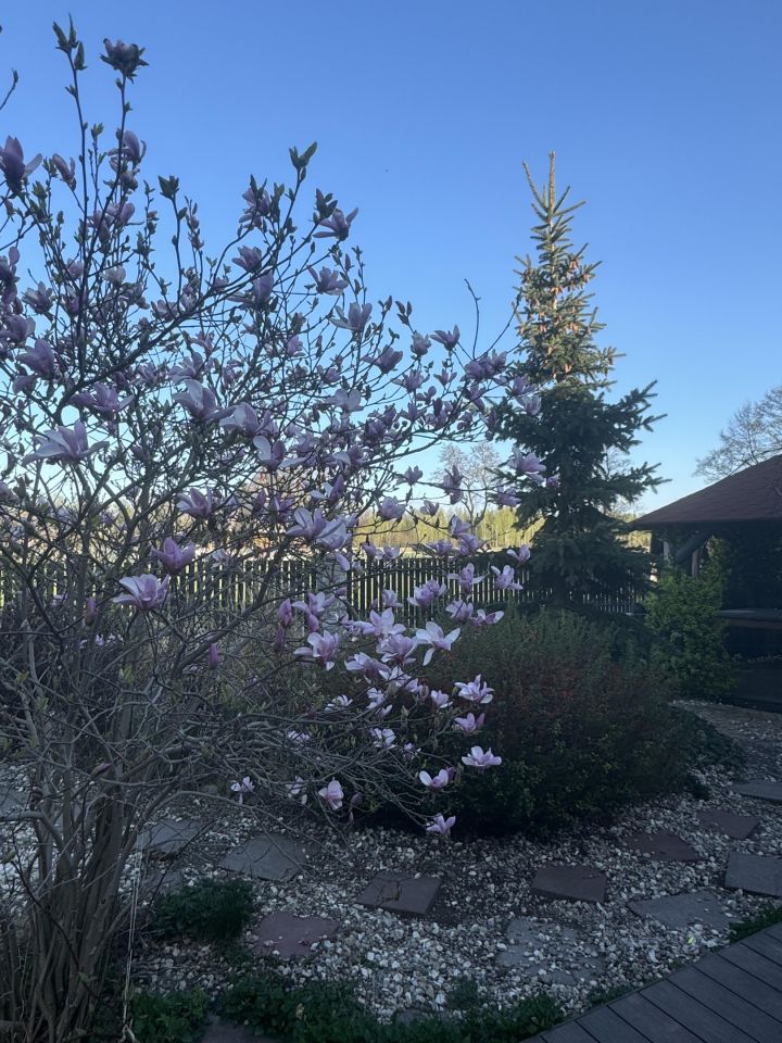 dom wolnostojący, 4 pokoje Huta Żabiowolska, Główna. Zdjęcie 35