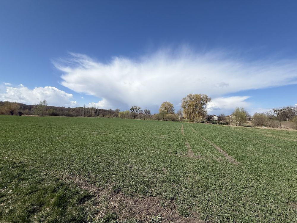 Działka rolna Petryłów. Zdjęcie 3