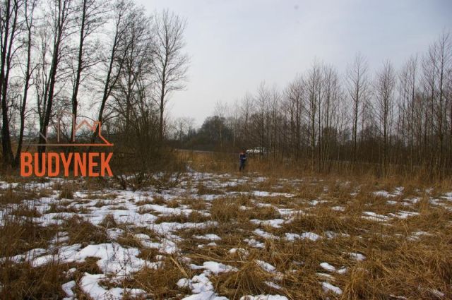 Działka rolna Malechowo. Zdjęcie 10