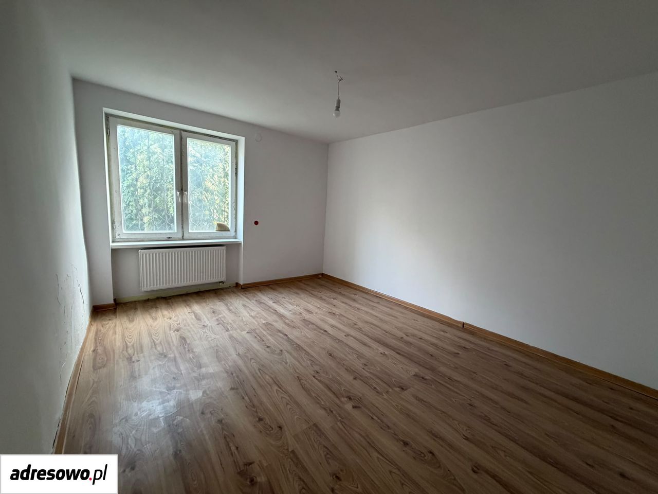 Zdjęcie 2