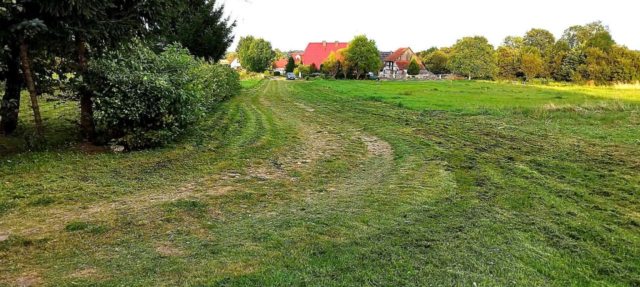 siedlisko Wiekowice. Zdjęcie 8