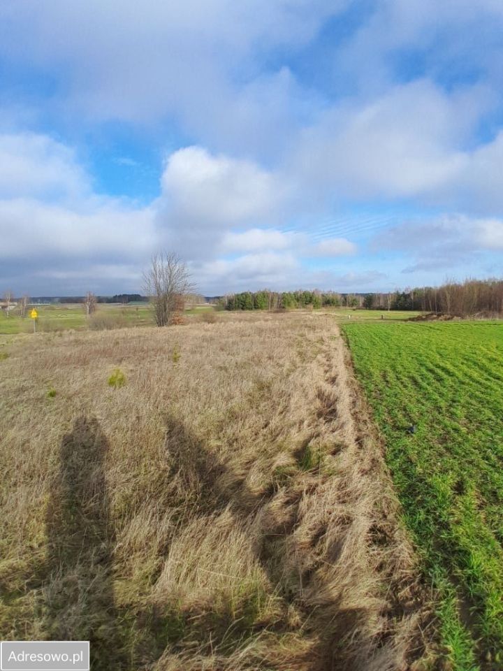 Działka budowlana Barniewice. Zdjęcie 7
