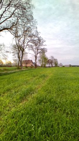 Działka budowlana Cekcyn, ul. Szkolna. Zdjęcie 1