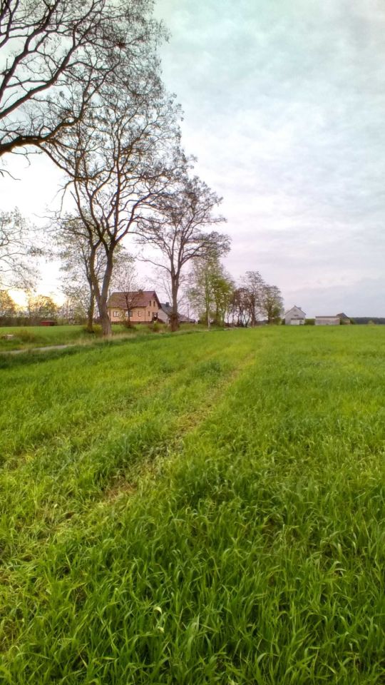 Działka budowlana Cekcyn, ul. Szkolna