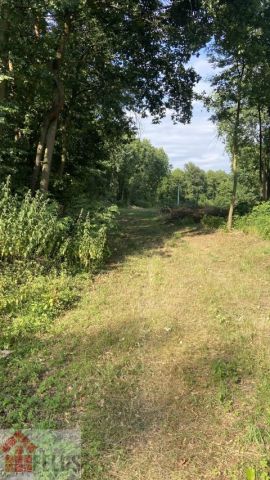 Działka rolno-budowlana Czernichów. Zdjęcie 7