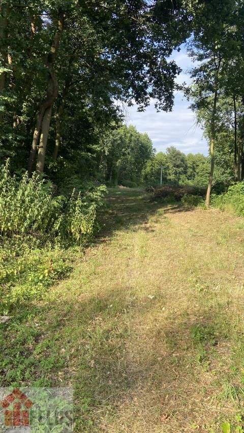 Działka rolno-budowlana Czernichów. Zdjęcie 7