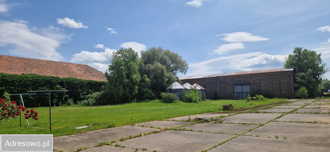 Działka budowlana Mnichowice, ul. Sosnowa. Zdjęcie 4