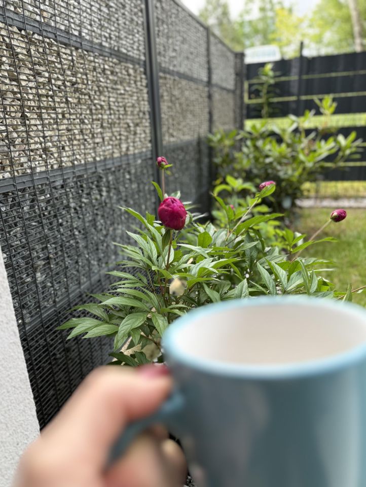 Mieszkanie 2-pokojowe Olsztyn Zatorze, ul. Marii Zientary-Malewskiej. Zdjęcie 5