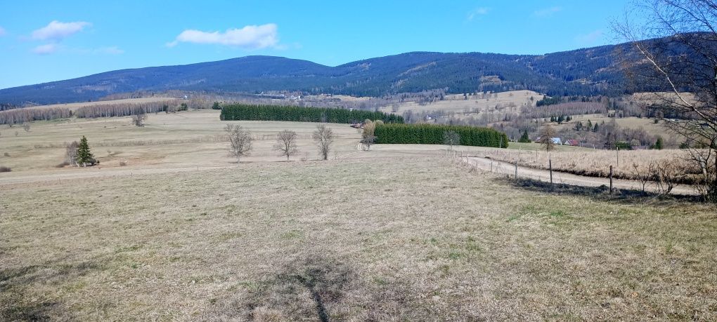 Działka rolna Jodłów. Zdjęcie 4