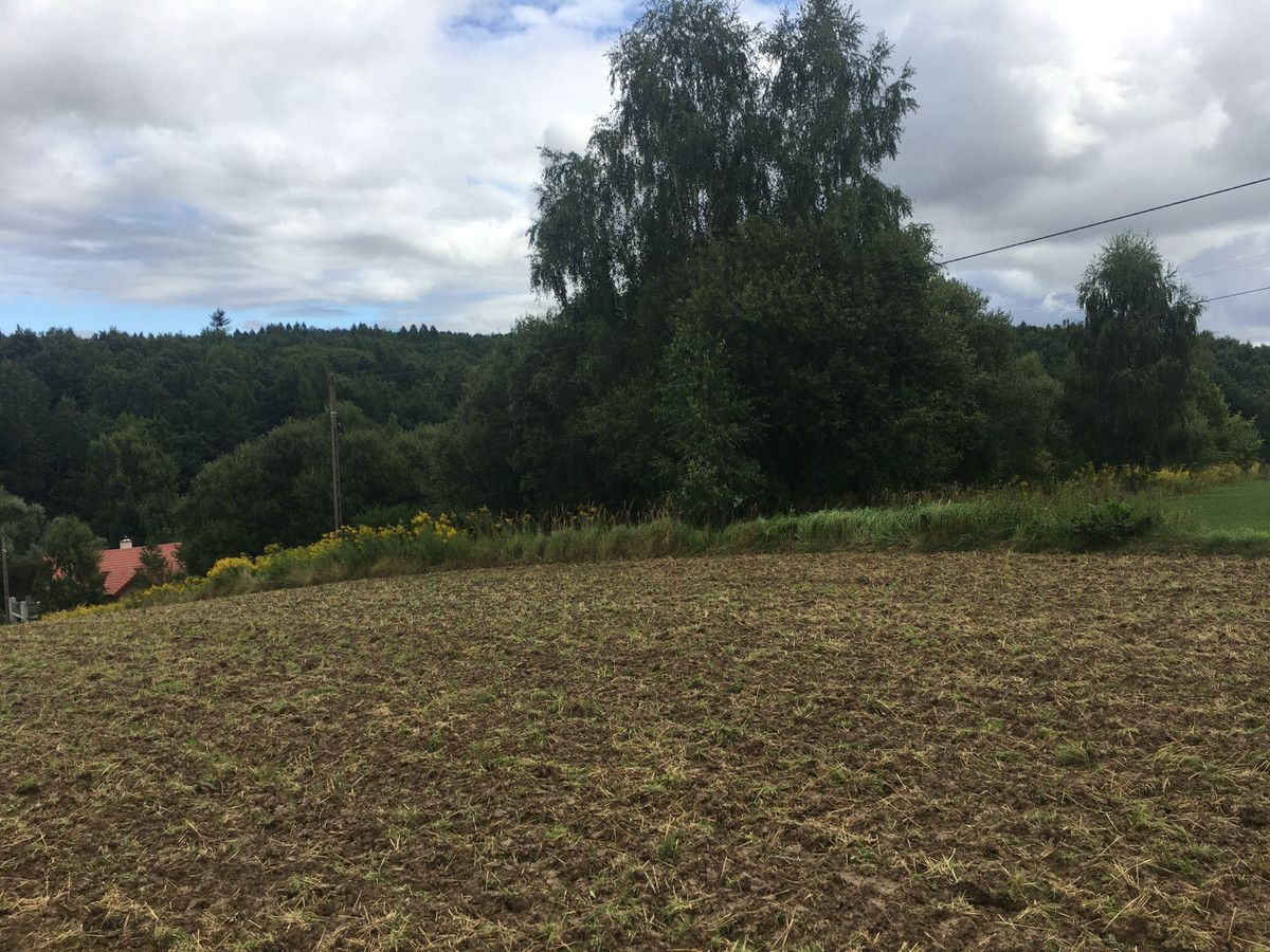 Działka siedliskowa Minoga. Zdjęcie 6