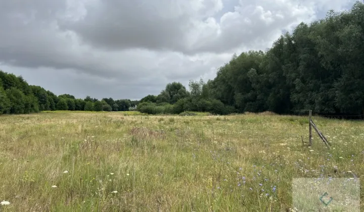 Działka budowlana Żarowo