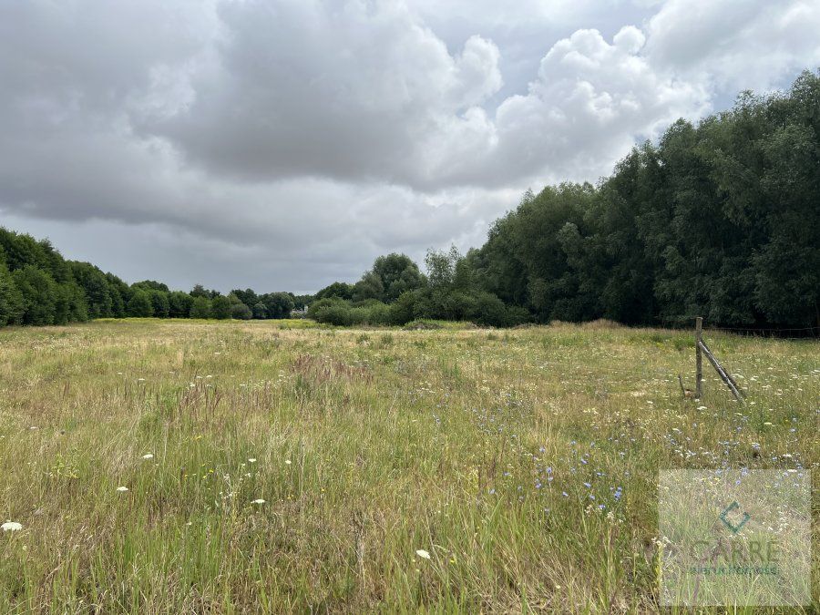 Działka budowlana Żarowo