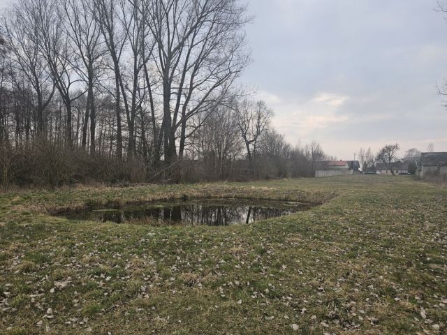 Działka rolno-budowlana Sanie. Zdjęcie 6