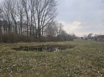 Działka rolno-budowlana Sanie. Zdjęcie 4