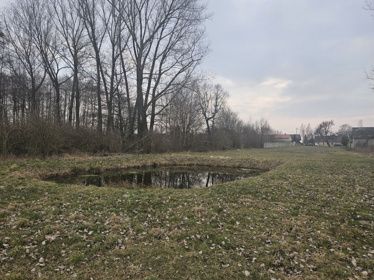 Działka rolno-budowlana Sanie. Zdjęcie 6