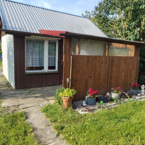 Działka rod Pyrzyce. Zdjęcie 1