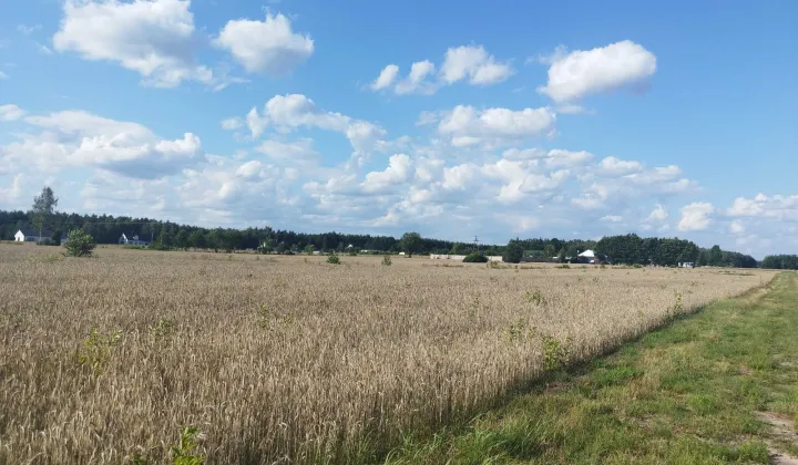 Działka budowlana Nowa Dębowa Wola