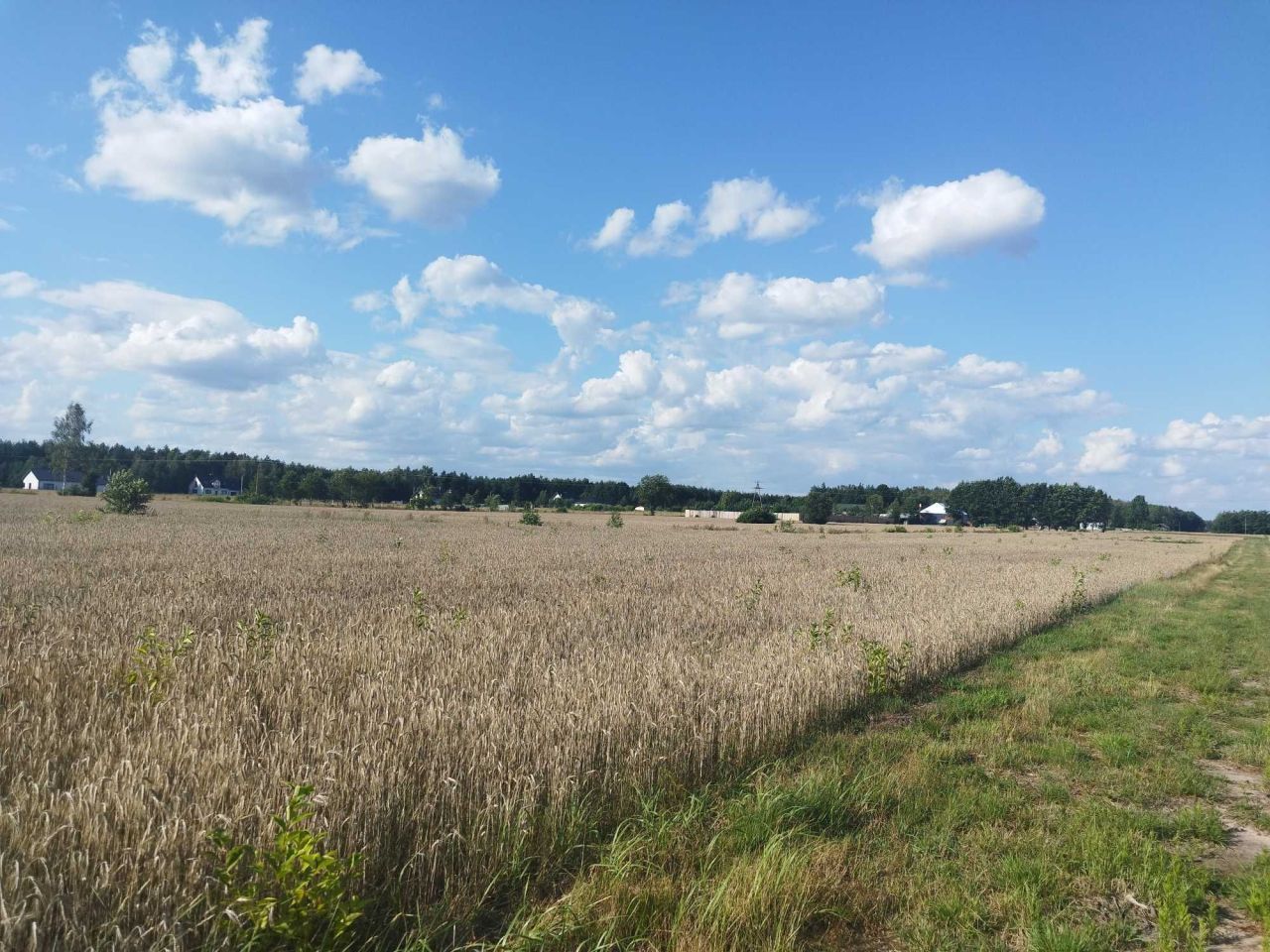 Działka budowlana Nowa Dębowa Wola. Zdjęcie 1