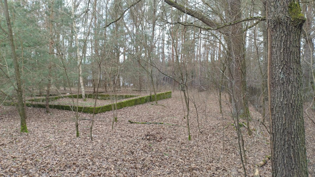 Działka budowlana Zofiówka, ul. Cmentarna. Zdjęcie 14