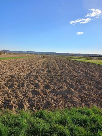 Działka budowlana Rusocice, ul. Krakowska. Zdjęcie 1