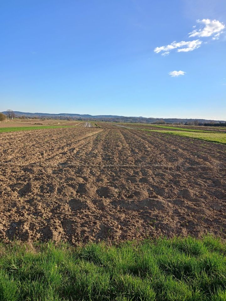 Działka budowlana Rusocice, ul. Krakowska