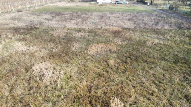 Działka rolno-budowlana Grobice. Zdjęcie 1