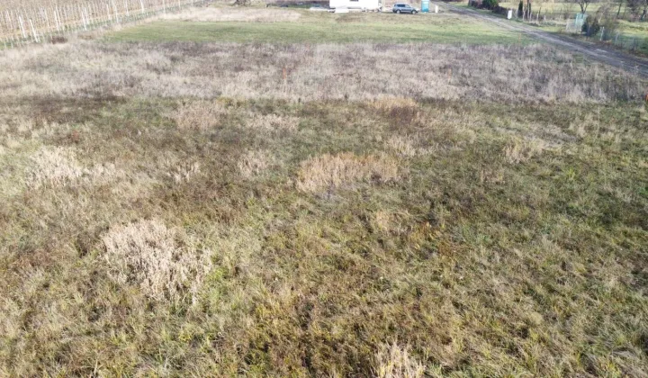 Działka rolno-budowlana Grobice