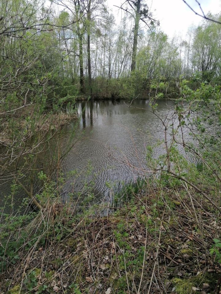 Działka budowlana Wojków. Zdjęcie 2