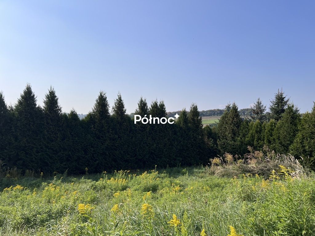 dom wolnostojący, 5 pokoi Biały Kościół, ul. Kasztanowa. Zdjęcie 7
