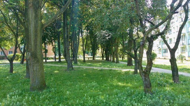 Mieszkanie 3-pokojowe Warszawa Targówek, ul. Krasiczyńska. Zdjęcie 1